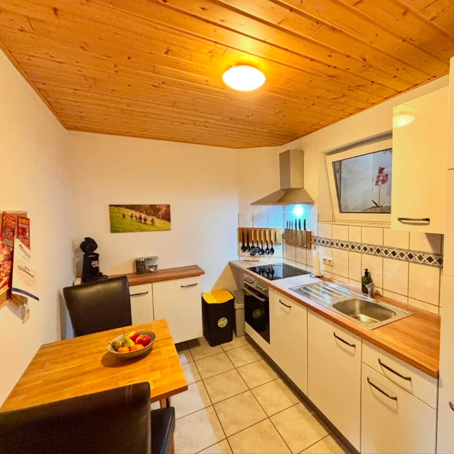 Küche mit Backofen und Geschirrspülmaschine