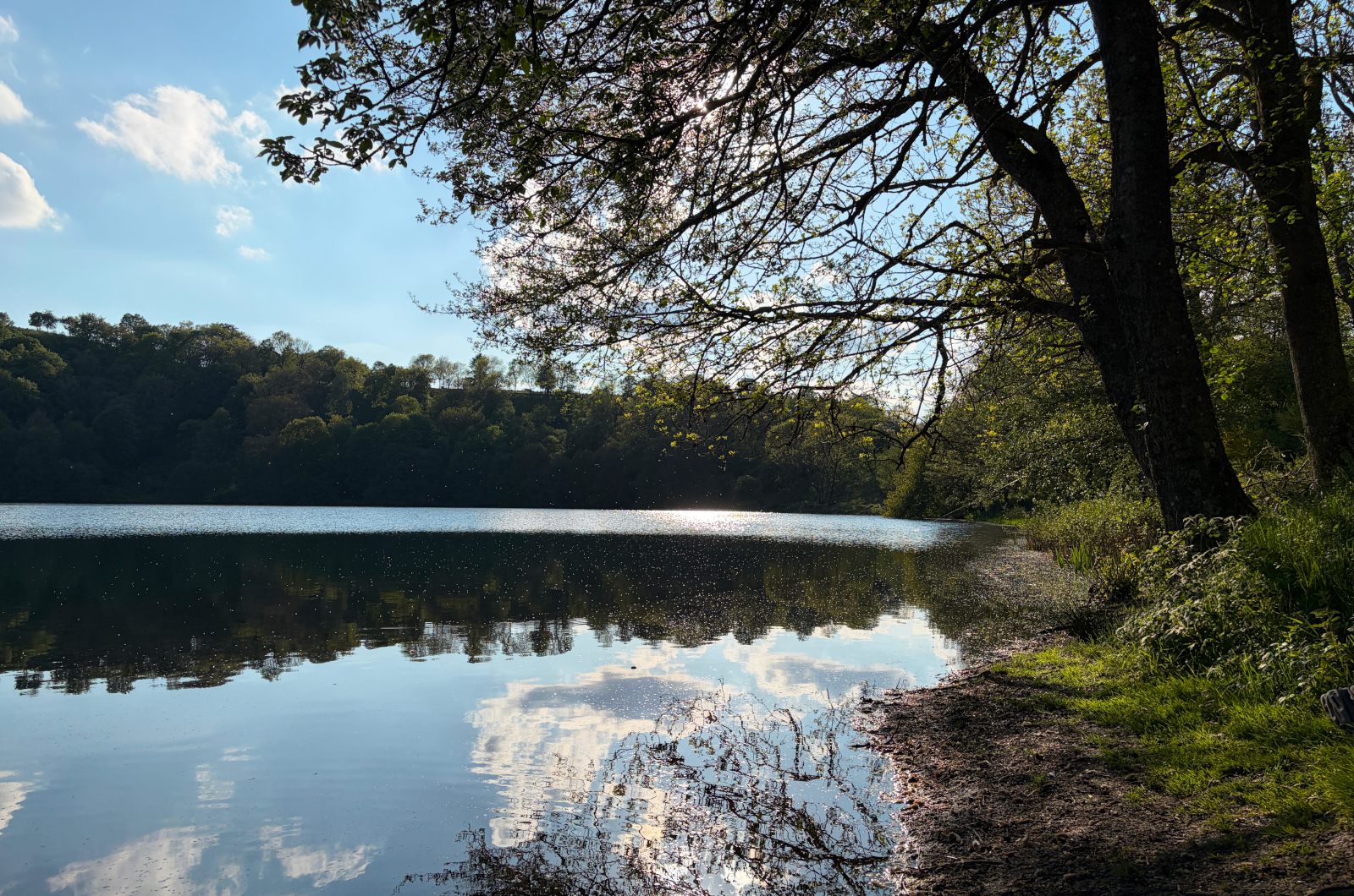 Weinfelder Maar im Sommer