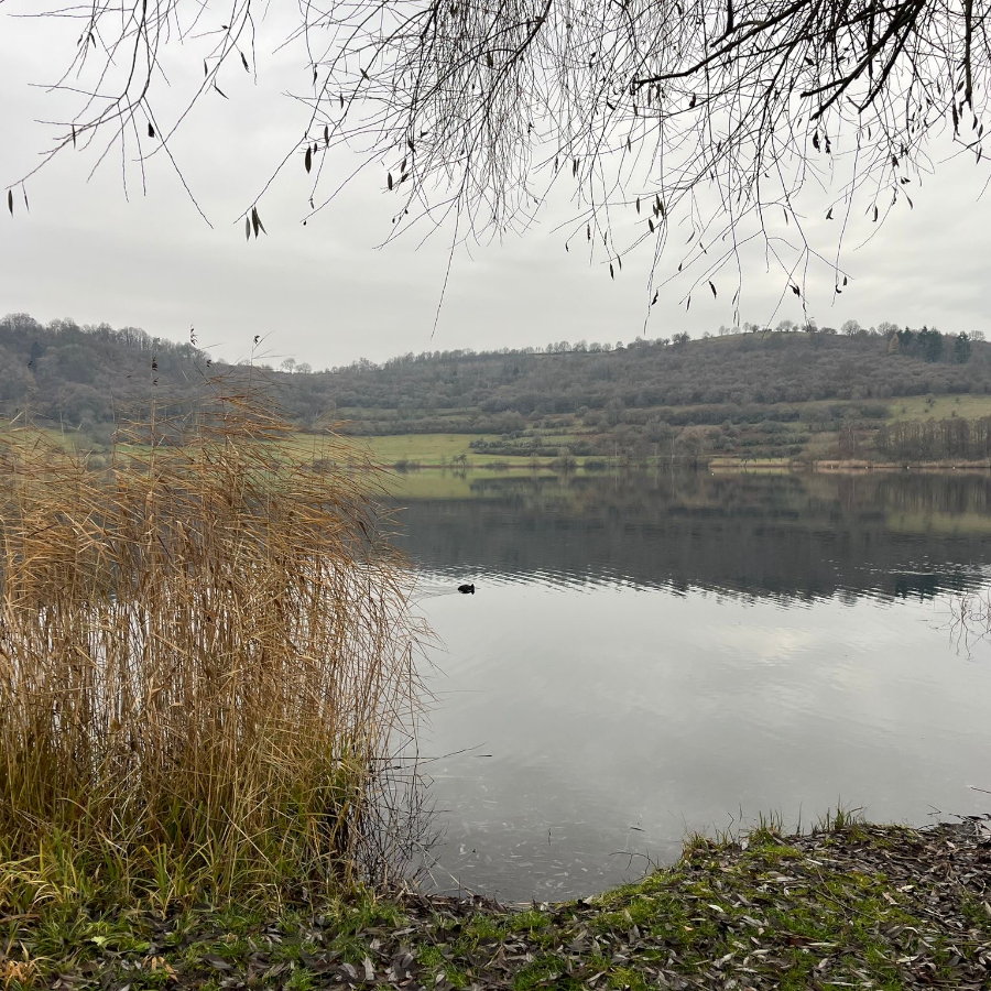 Schalkenmehrener Maar